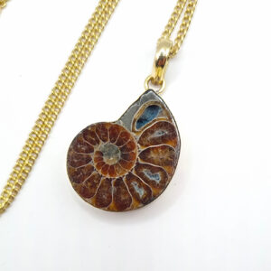 Collier Laiton Doré et Ammonite Authentique