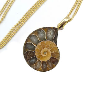 Collier Ethnique Ammonite et Laiton